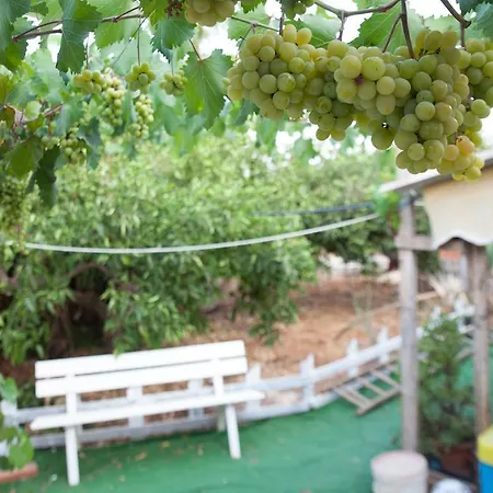 Acqua Di Mare Bed & Breakfast